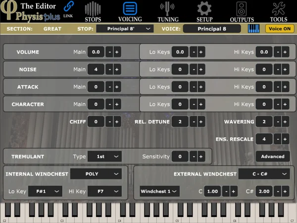 physis plus the editor voicing tab